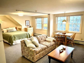 Peaceful Mtn Studio Pet-friendly Woodstock